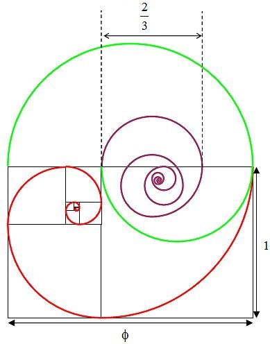 Golden section spiral diagram 6