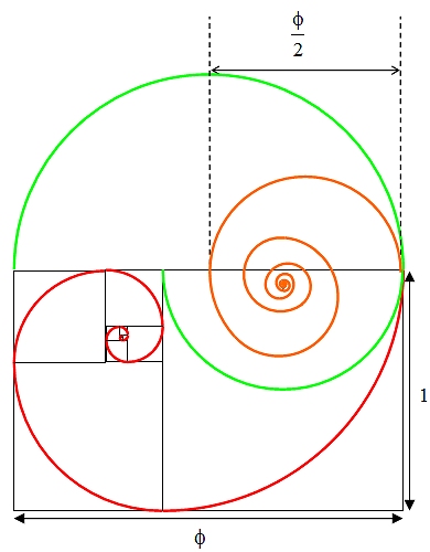Golden section spiral diagram 7