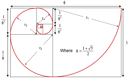 Golden section spiral diagram 1