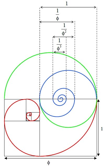 Golden section spiral diagram 4